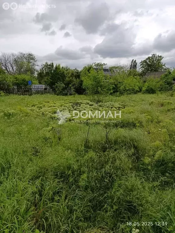 Участок в Кривянское сельское поселение, садовое товарищество Дружба ... - Фото 1