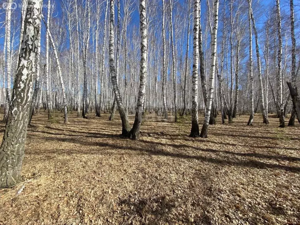 Участок в Курганская область, Кетовский муниципальный округ, деревня ... - Фото 0