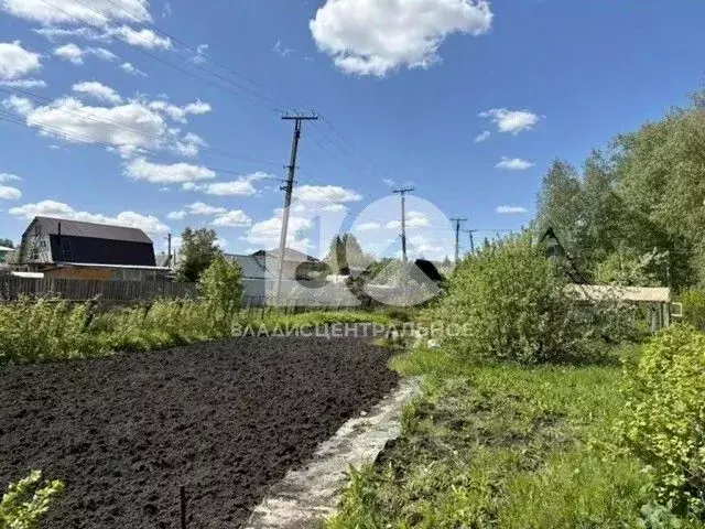 Участок в Новосибирская область, Новосибирск Золотая осень садовое ... - Фото 1