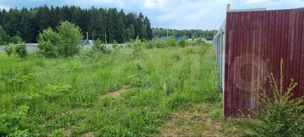 Участок 6 сот. (ИЖС) - Фото 0