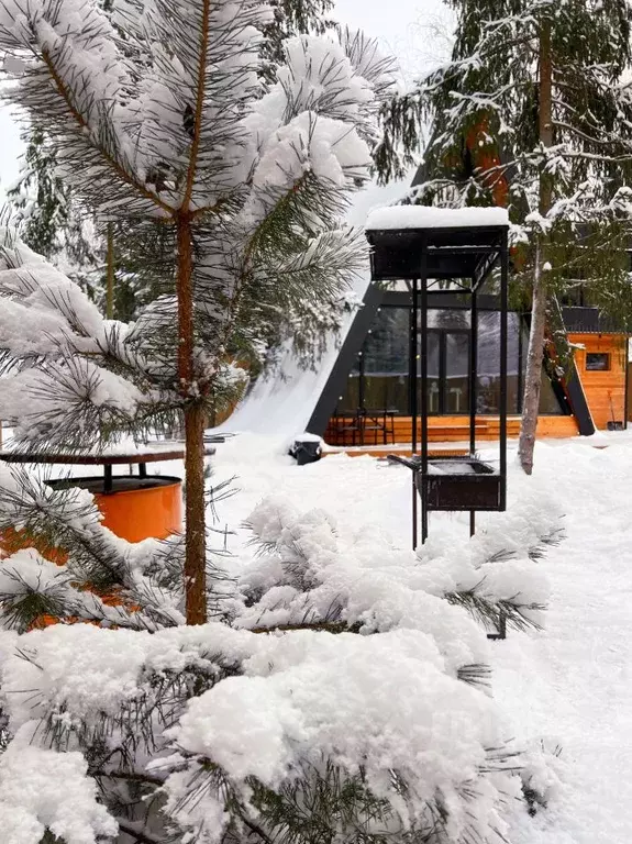 Дом в Московская область, Солнечногорск городской округ, д. Гончары  ... - Фото 2