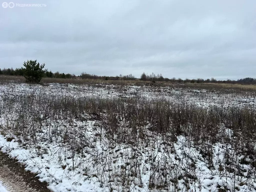 Участок в Александровский район, муниципальное образование Каринское, ... - Фото 1