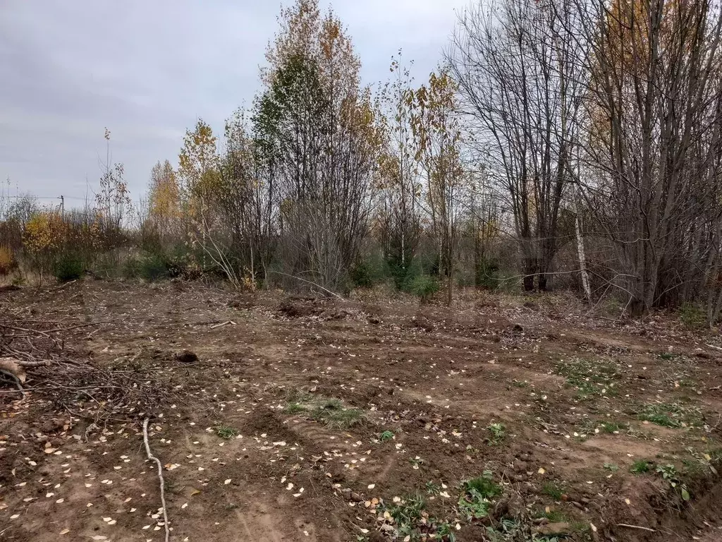 Участок 10 сот. (ИЖС) - Фото 0