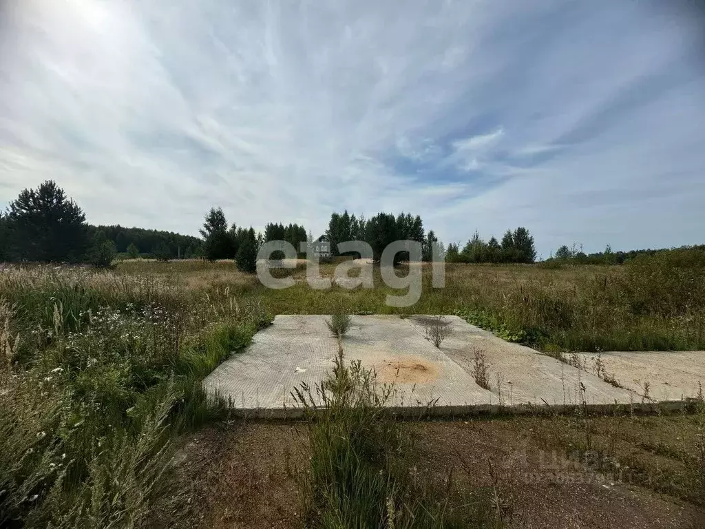 Участок в Костромская область, Красносельский район, Боровиковское ... - Фото 1