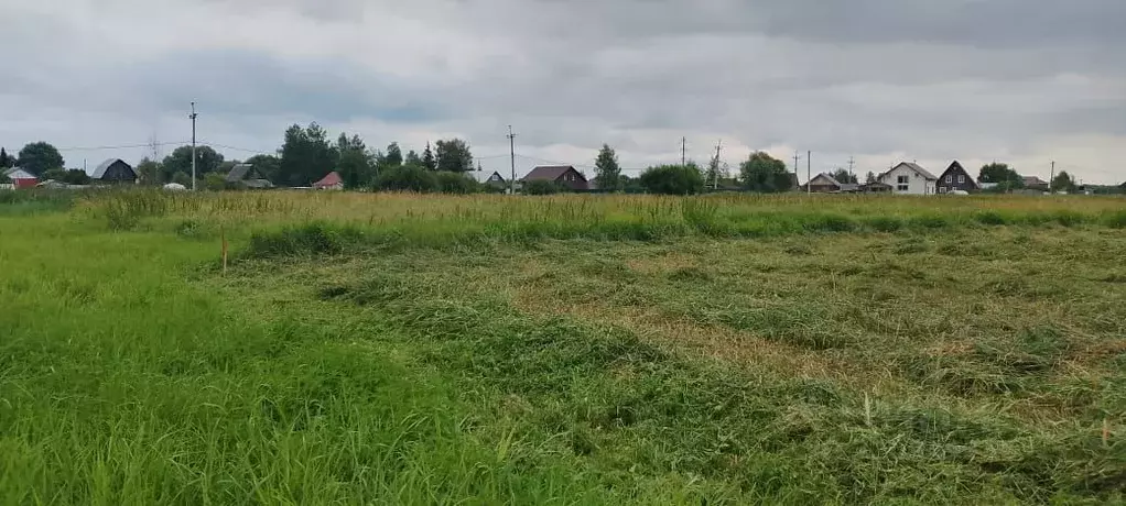 Участок в Ярославская область, Переславль-Залесский муниципальный ... - Фото 1