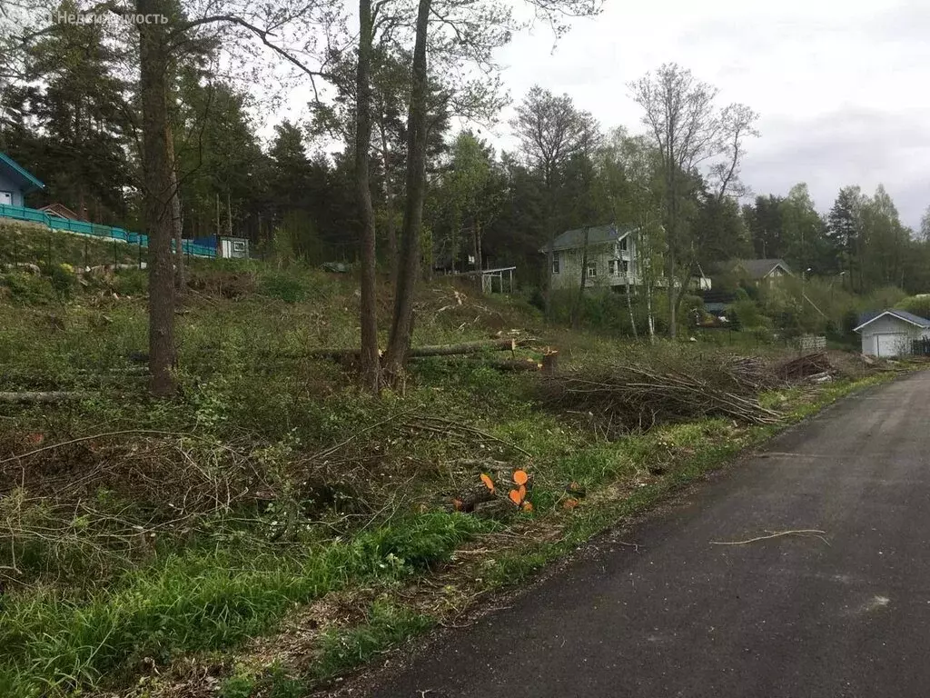 Участок в Выборгский район, Полянское сельское поселение, посёлок ... - Фото 1