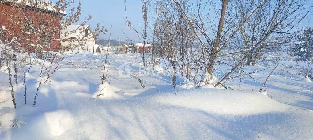 Участок в Нижегородская область, Богородский муниципальный округ, с. ... - Фото 2