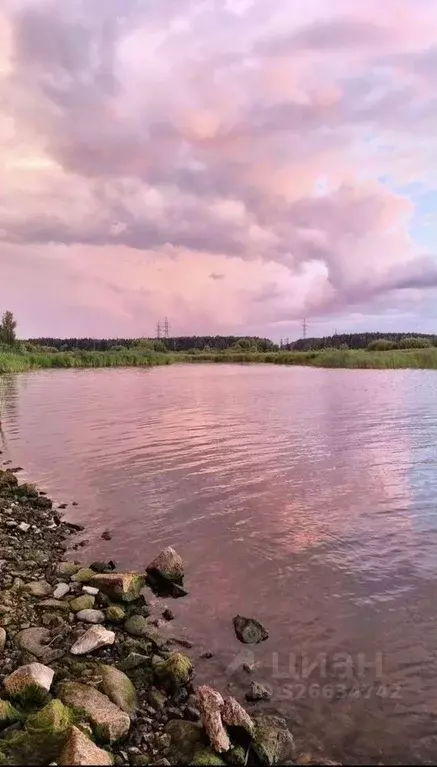 Участок в Тверская область, Конаковский муниципальный округ, д. ... - Фото 1