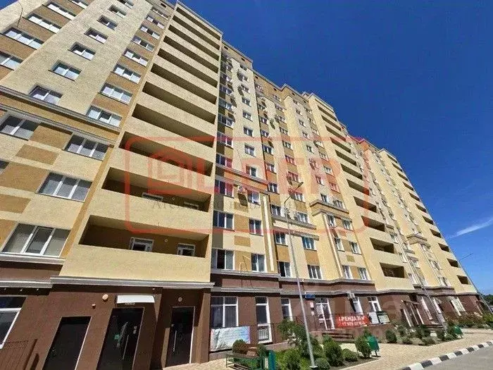 1-к кв. Севастополь ш. Лабораторное, 33к3 (33.8 м) - Фото 0