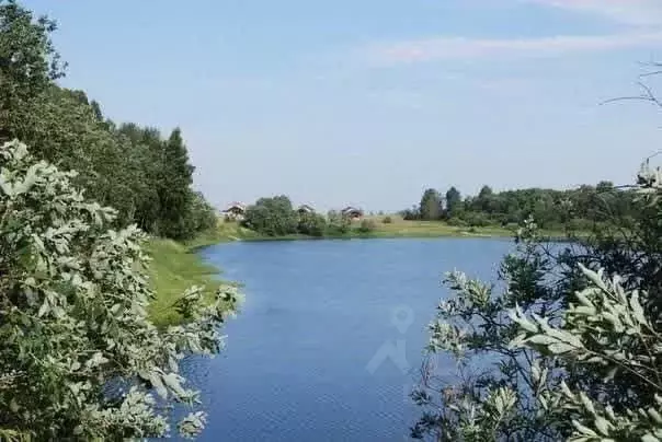 Участок в Смоленская область, Гагаринский муниципальный округ, ... - Фото 0