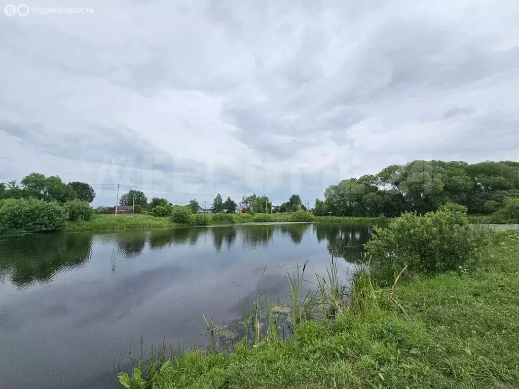Дом в Московская область, городской округ Домодедово, село Ильинское ... - Фото 2
