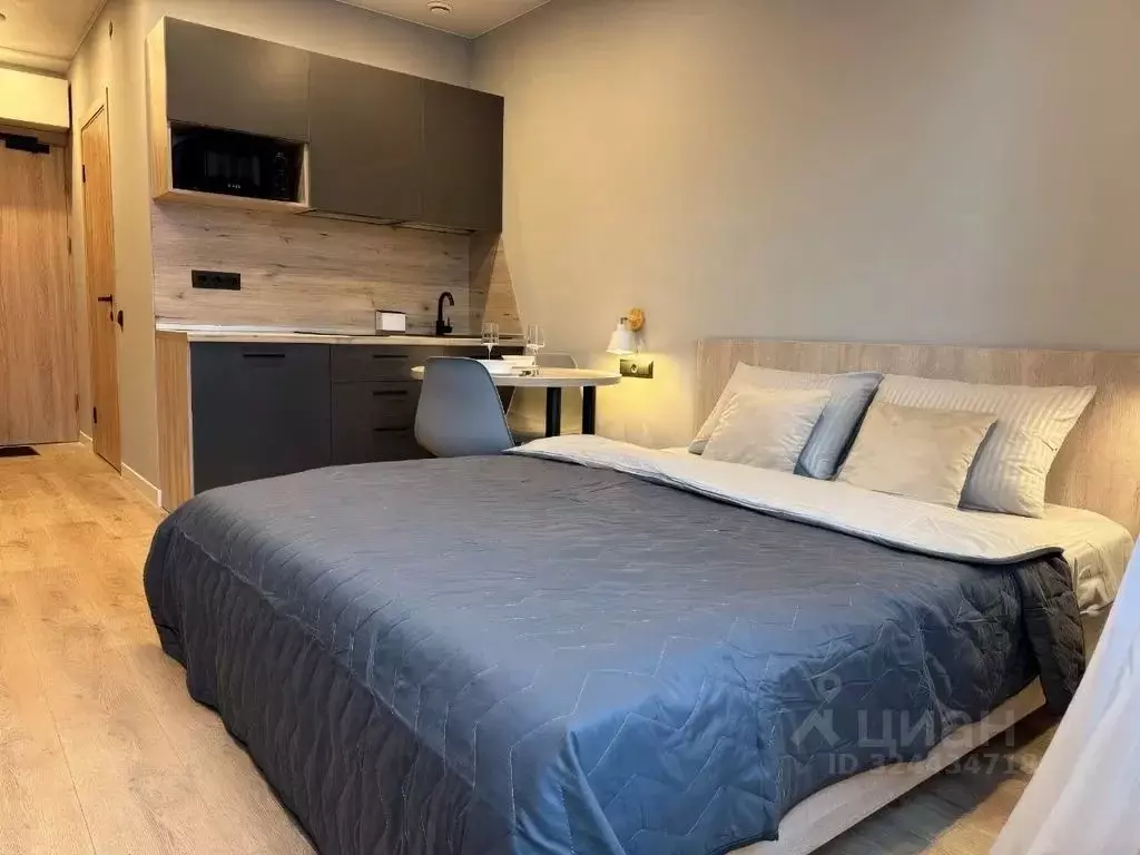 Студия Санкт-Петербург просп. Энергетиков, 2к2 (30.0 м) - Фото 1