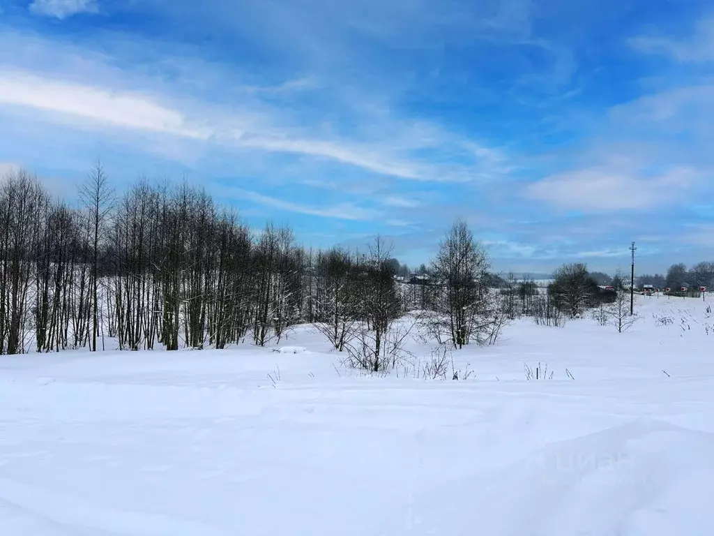 Участок в Московская область, Дмитровский муниципальный округ, Сбоево ... - Фото 2