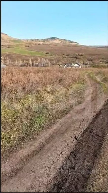 Участок в Алтай, Майминский район, с. Верх-Карагуж  (10.0 сот.) - Фото 1
