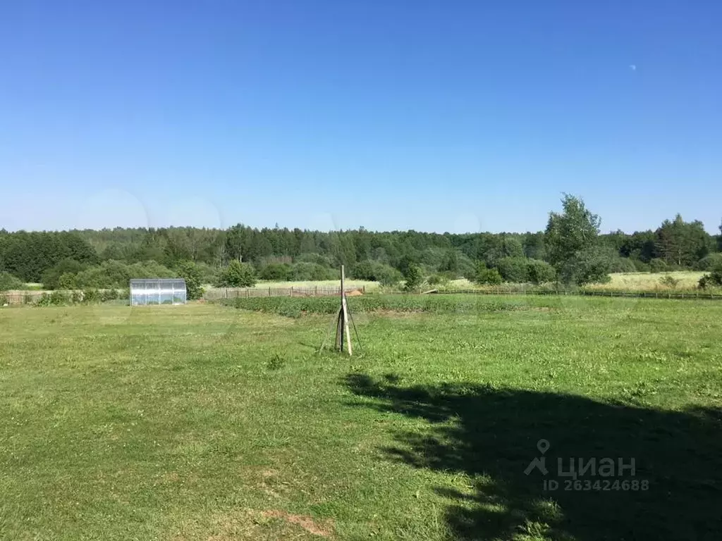Участок в Псковская область, Пушкиногорье городское поселение, д. ... - Фото 2