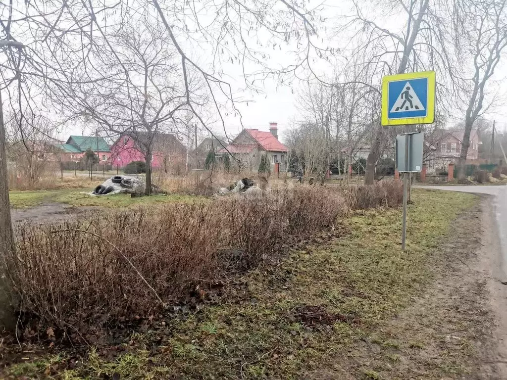 Участок в Калининградская область, Гурьевский муниципальный округ, ... - Фото 1