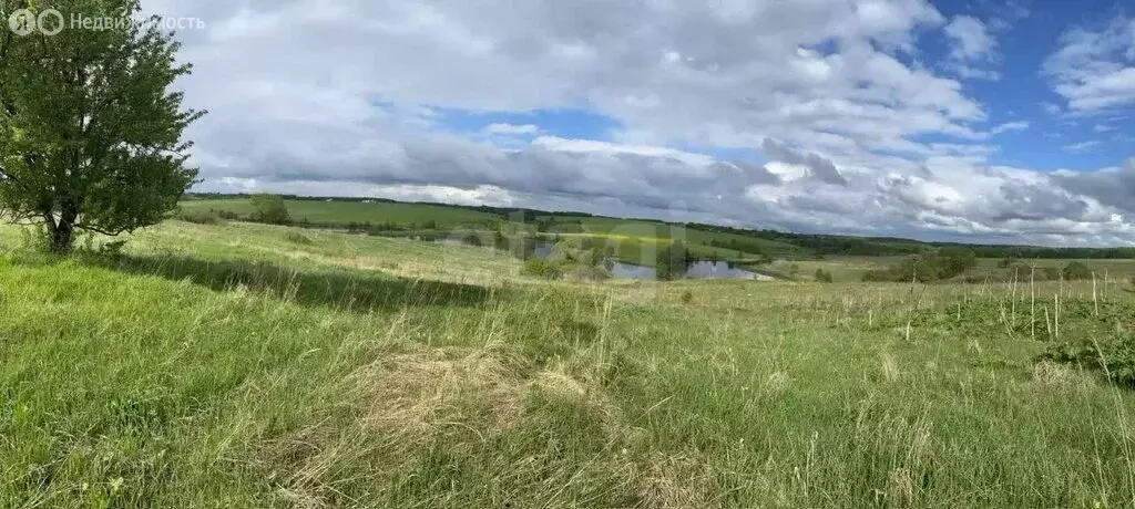 Участок в Калужская область, Мещовский муниципальный округ, сельское ... - Фото 1
