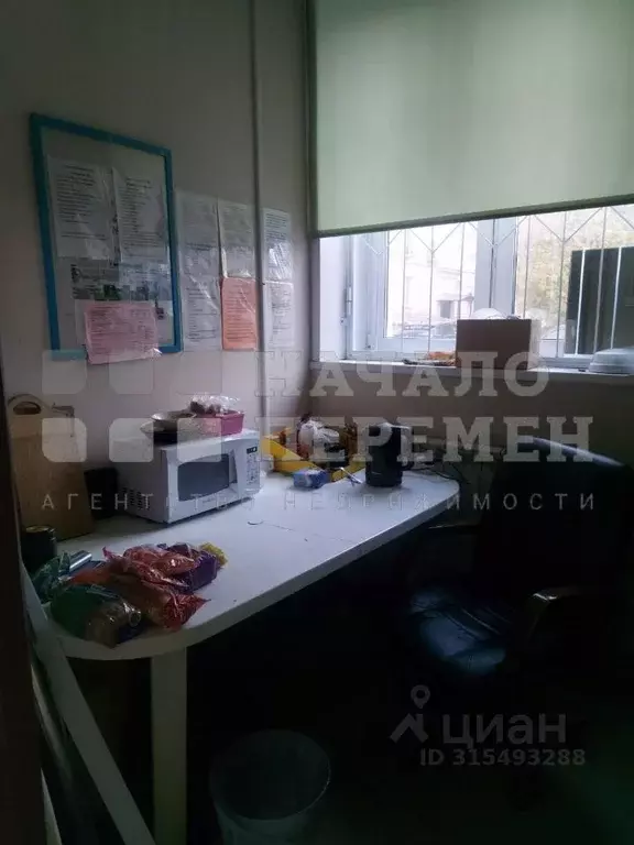 Торговая площадь в Новосибирская область, Новосибирск Советская ул., ... - Фото 0