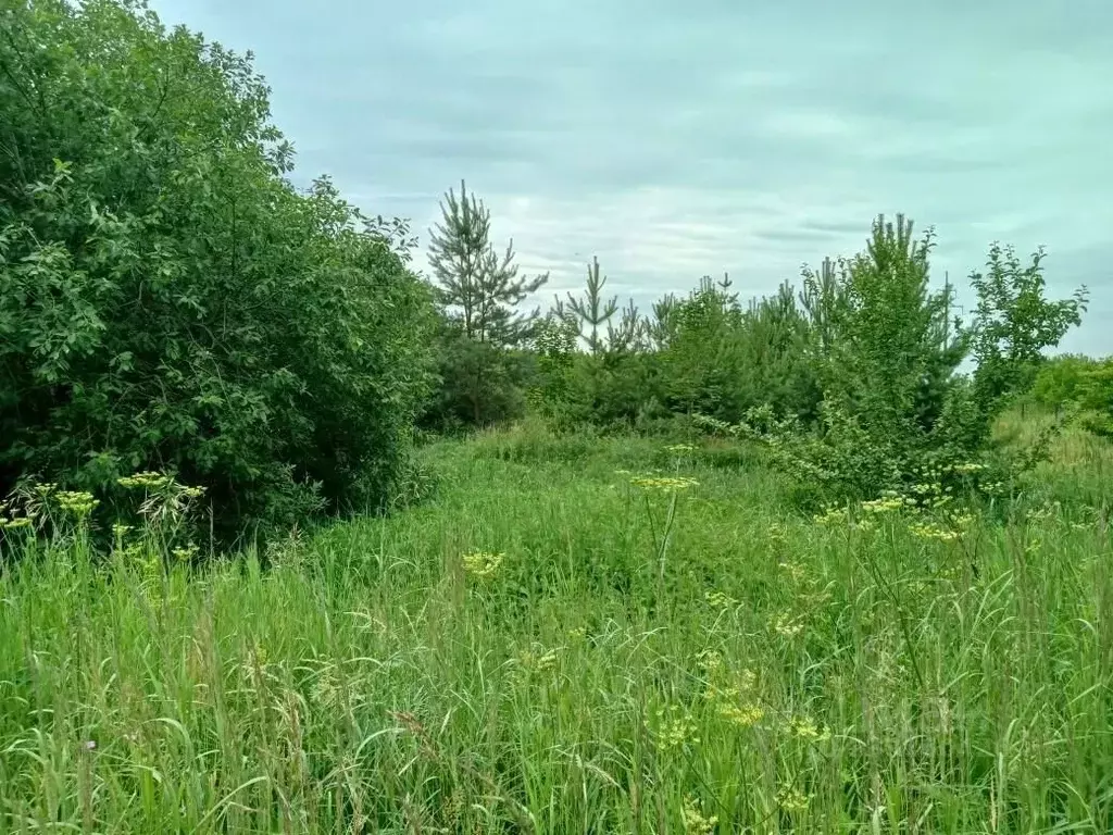 Участок в Московская область, Воскресенск городской округ, д. Хлопки ... - Фото 1