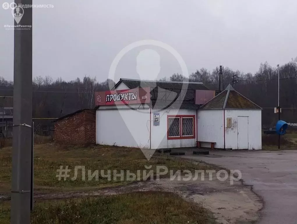 Торговая площадь (80.3 м) - Фото 2