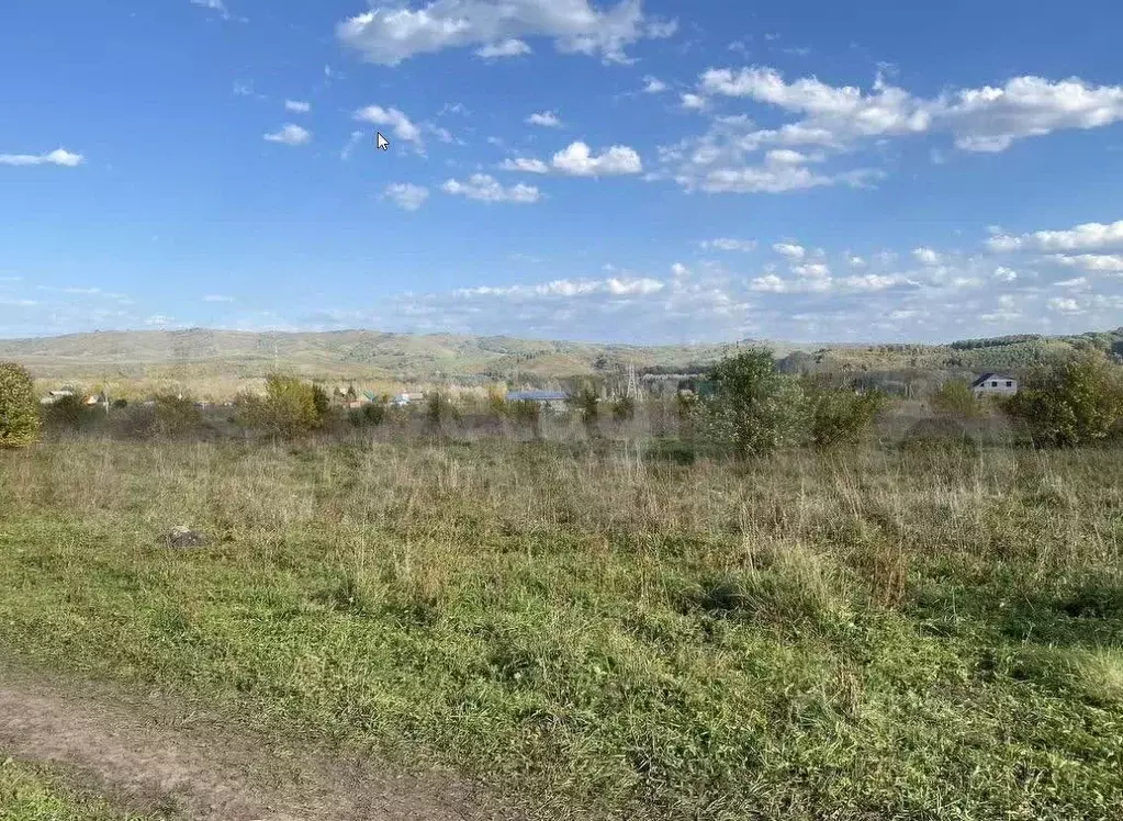 Участок в Алтайский край, Алтайский район, Айский сельсовет, ... - Фото 2