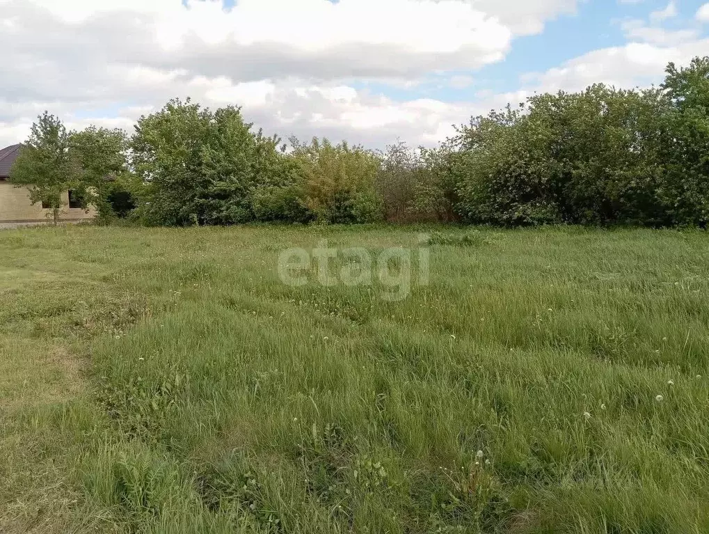 Участок в Воронежская область, Семилукский район, с. Губарево ул. ... - Фото 1