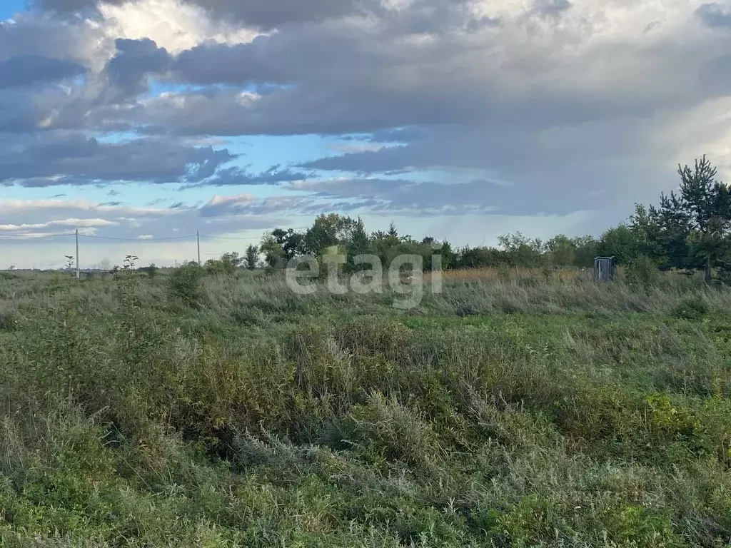 Участок в Амурская область, Благовещенский район, с. Волково  (14.0 ... - Фото 0