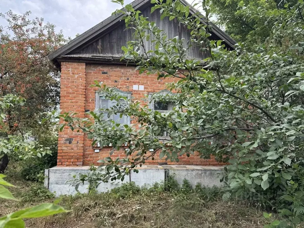 Дом в Саратовская область, Балаковский район, Натальинское ... - Фото 2