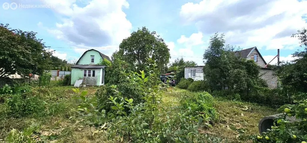 Участок в Калининград, СНТ ЦБЗ-1, Весёлая улица, 389 (5.95 м) - Фото 0
