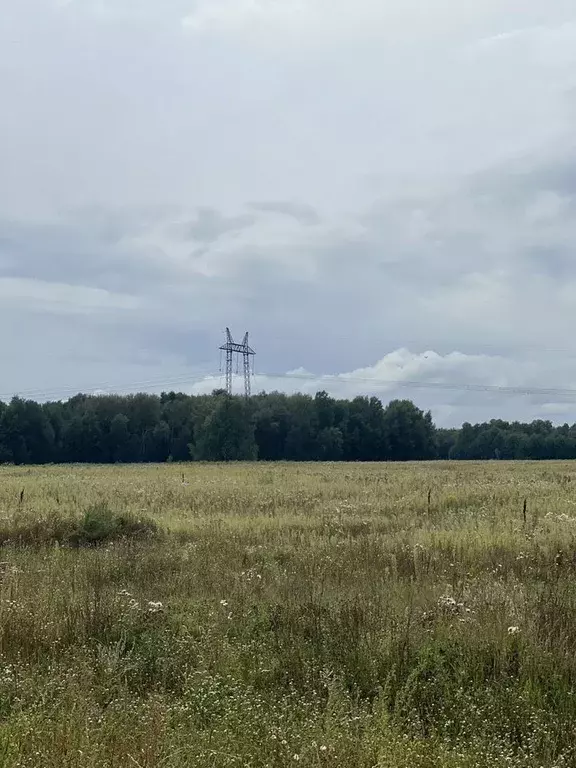 Участок в Новосибирская область, Мошковский район, Барлакский ... - Фото 2