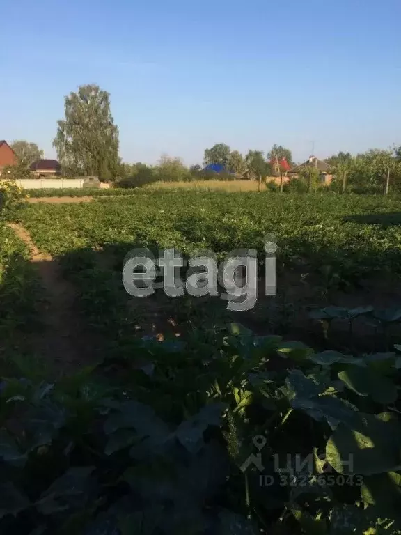 Участок в Свердловская область, Тугулымский муниципальный округ, пос. ... - Фото 1