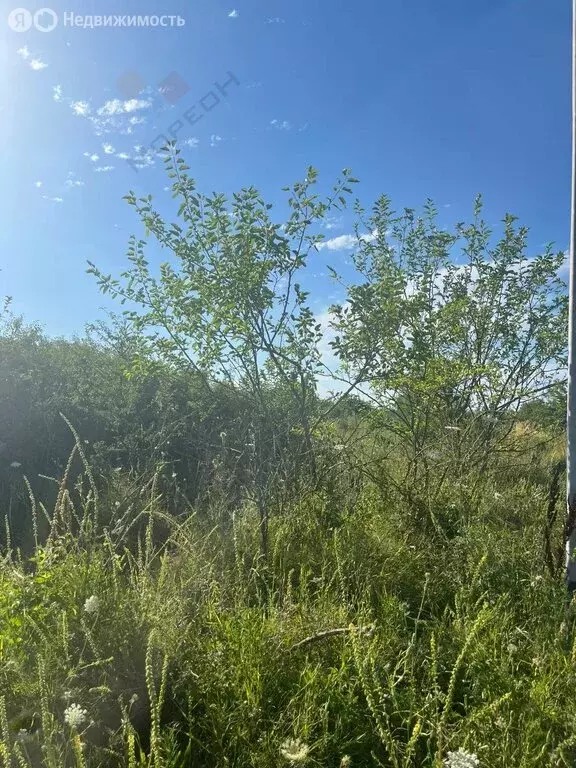 Участок в аул Козет, Мамлюкская улица (10 м) - Фото 2