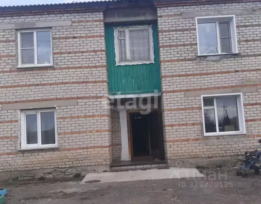 3-к кв. Алтайский край, с. Новичиха ул. Гагарина, 22 (80.9 м) - Фото 2