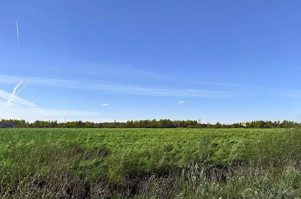 Участок в Санкт-Петербург, Санкт-Петербург, Петергоф ш. Ольгинское, ... - Фото 2