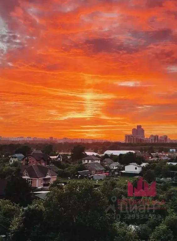 2-к кв. Московская область, Видное бул. Зеленые аллеи, 3 (66.6 м) - Фото 2