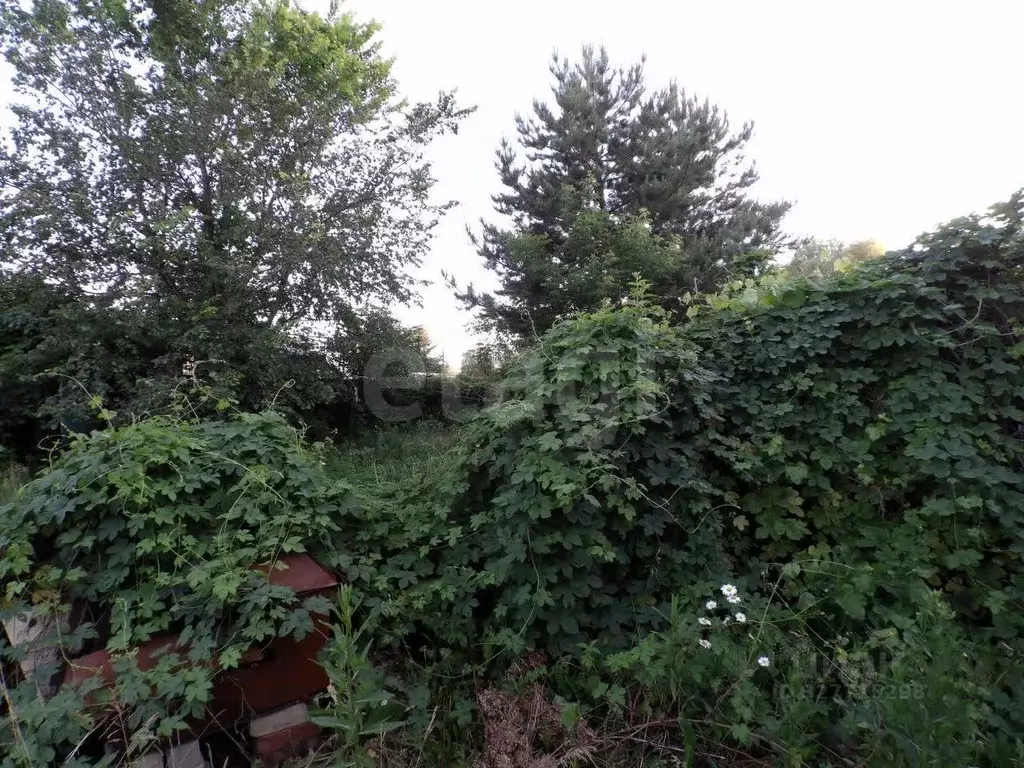 Участок в Самарская область, Волжский район, Воскресенка с/пос, Радуга ... - Фото 1