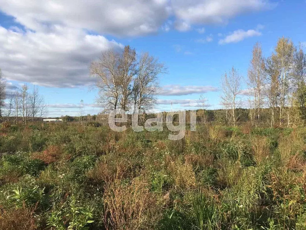 Участок в Тюменская область, Тюменский район, с. Каменка  (10.71 сот.) - Фото 2