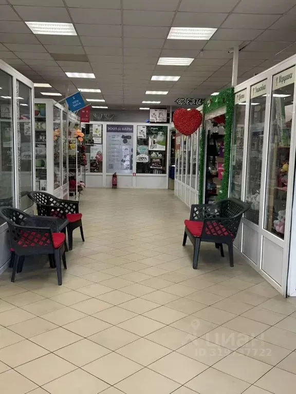 Помещение свободного назначения в Ленинградская область, Ломоносовский ... - Фото 0