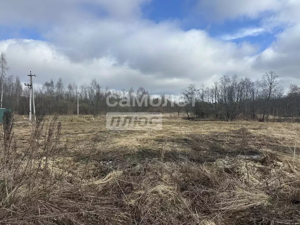 Участок в Московская область, Солнечногорск городской округ, Радумля ... - Фото 2