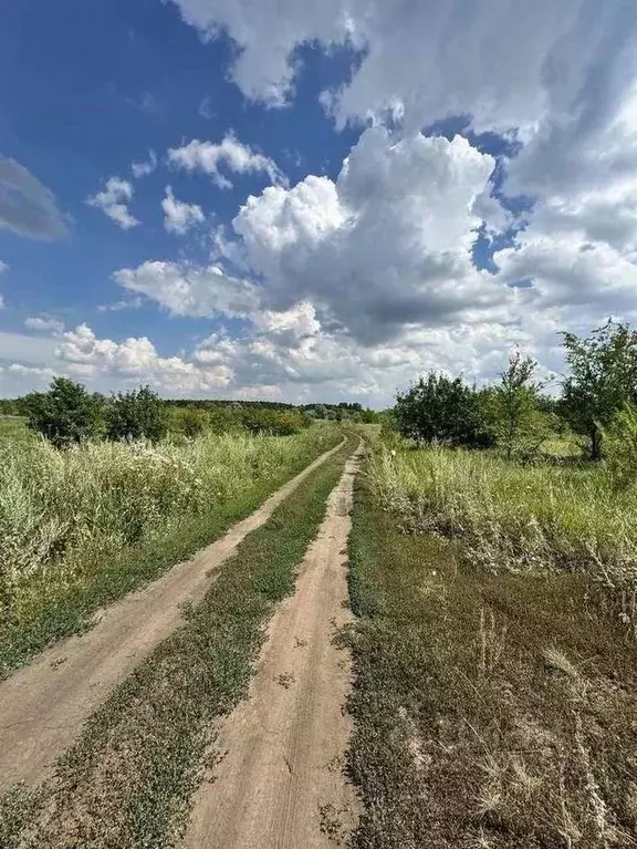 Участок в Самарская область, Кинель ул. Семейная, 1Д (10.0 сот.) - Фото 1
