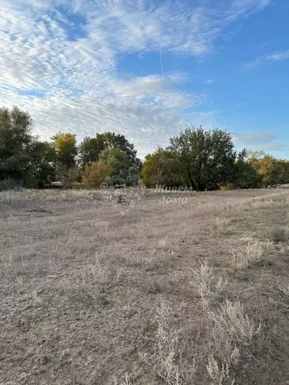 Участок в Волгоградская область, Городище рп  (4.0 сот.) - Фото 0