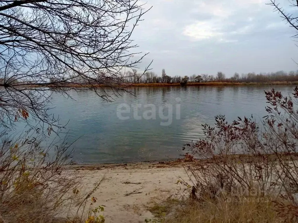 Участок в Ростовская область, Багаевский район, Манычское с/пос, ... - Фото 0