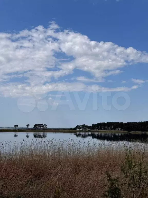 Участок 5,2 сот. (СНТ, ДНП) - Фото 0