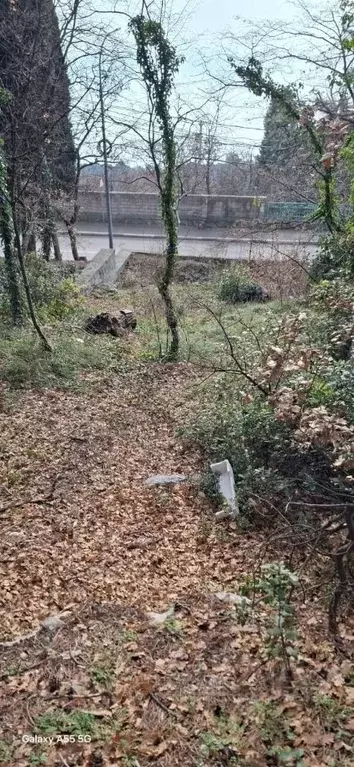 Участок в Крым, Ялта муниципальный округ, Кореиз пгт ш. ... - Фото 1