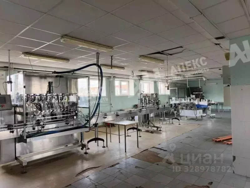 Производственное помещение в Московская область, Дедовск г. Истра ... - Фото 1