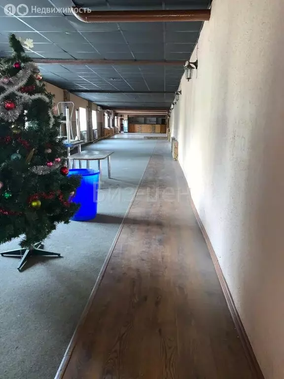 Офис (300 м) - Фото 2