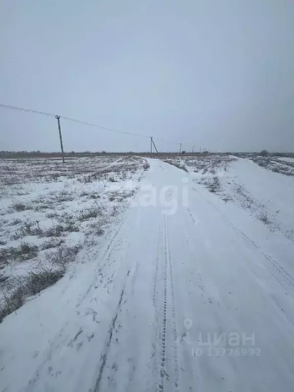 Участок в Саратовская область, Энгельсский район, Красноярское ... - Фото 1