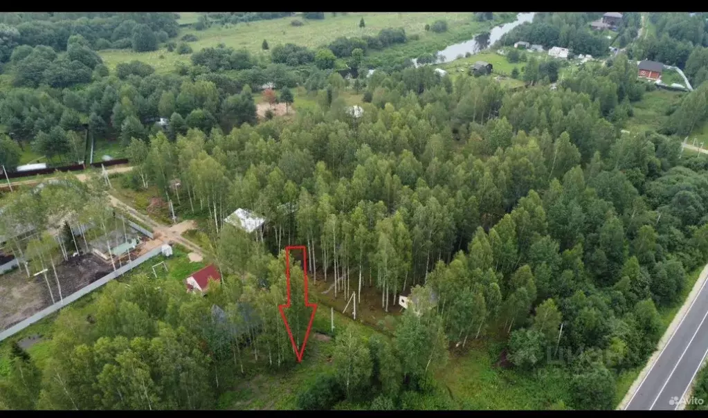 Участок в Московская область, Талдомский городской округ, д. Гусенки ... - Фото 1