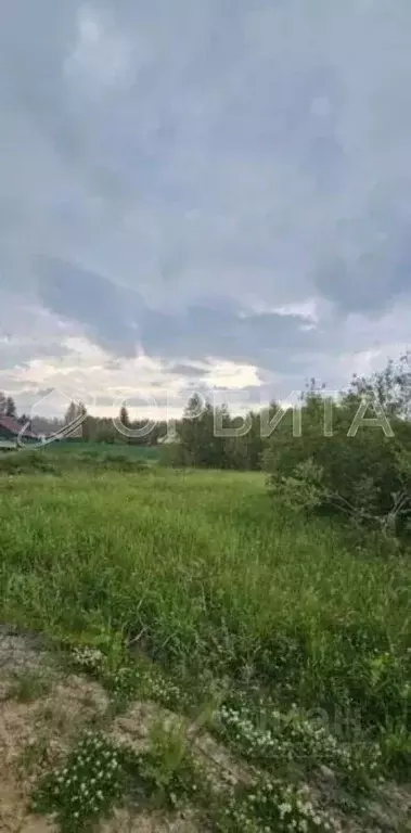 Участок в Тюменская область, Нижнетавдинский муниципальный округ, пос. ... - Фото 2