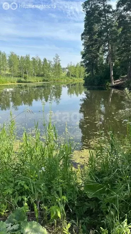 Участок в Барышевский сельсовет, садовое товарищество Ключи-1 (12 м) - Фото 0